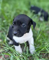 processed/2dc603bc-3d2b-44a6-bae2-e58664bd6025/listing/6fa3b32d-aa26-4a94-a72e-b62f7dd5c549/23a7af04-d511-4196-8754-66d92a1f7c23