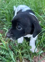 processed/2dc603bc-3d2b-44a6-bae2-e58664bd6025/listing/6fa3b32d-aa26-4a94-a72e-b62f7dd5c549/f9823363-23dc-473f-9c73-3773f3f26bb7