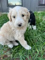 processed/2dc603bc-3d2b-44a6-bae2-e58664bd6025/listing/801b2802-9b88-49d7-96ee-d0fb91ed3c5e/9e25c34a-47f0-412a-83d6-77165bf6c938