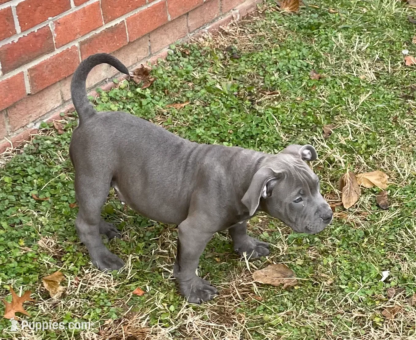 processed/2dc6cca2-5dd6-4019-9466-30573db9c0c7/listing/cd6dd41e-83b5-4c5f-ae71-a4192b6c6a46/0658c829-505b-4f89-bd0f-0a459f901308