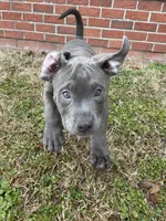 processed/2dc6cca2-5dd6-4019-9466-30573db9c0c7/listing/cd6dd41e-83b5-4c5f-ae71-a4192b6c6a46/2a453294-8f50-4595-9dc6-81919328a524