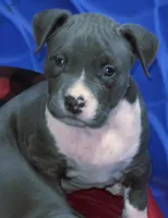 processed/2dc80d9a-4d11-4a0d-8444-b6b08178f465/listing/91b84115-3439-45d1-a30f-519c920855ba/2ca44ed7-be15-44f7-a84f-2c1224a3fb3c