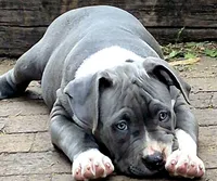 processed/2dc80d9a-4d11-4a0d-8444-b6b08178f465/listing/91b84115-3439-45d1-a30f-519c920855ba/880d6ac0-482e-4527-8b09-c05527ae2667