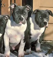 processed/2dc80d9a-4d11-4a0d-8444-b6b08178f465/listing/91b84115-3439-45d1-a30f-519c920855ba/cb2979db-7fca-4a3c-856f-3a08a82a7e22