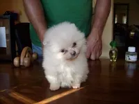 processed/2dc90493-0ba6-4e7d-ad60-98824101c682/facility/3905910d-8ea0-40e2-9c44-ed9563749b6d