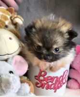 processed/2dc90493-0ba6-4e7d-ad60-98824101c682/facility/6fede99a-c805-45f7-877a-00abcb539fde