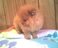 processed/2dc90493-0ba6-4e7d-ad60-98824101c682/facility/799c4e43-7c33-4cbc-8407-8a808318c1f5