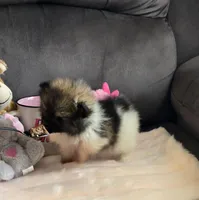 processed/2dc90493-0ba6-4e7d-ad60-98824101c682/facility/8019e5af-a404-422e-8aa0-11e3b2c7e9db