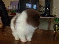 processed/2dc90493-0ba6-4e7d-ad60-98824101c682/facility/a0ec8c2a-3b57-415c-a1db-dfac08878a5d