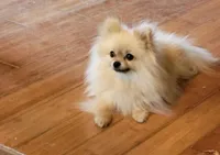 processed/2dc90493-0ba6-4e7d-ad60-98824101c682/facility/b5c227a8-75ca-4aea-97f4-71b087cb270c