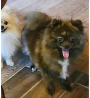 processed/2dc90493-0ba6-4e7d-ad60-98824101c682/facility/d02968ca-3ce0-4a44-9493-1204effc6dff