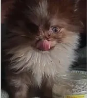 processed/2dc90493-0ba6-4e7d-ad60-98824101c682/facility/eb11bb08-56fc-4f1f-97c6-af72c8785c0b