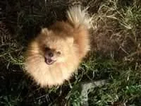 processed/2dc90493-0ba6-4e7d-ad60-98824101c682/facility/f3a4c918-69bb-4e5f-a895-135d33343dae