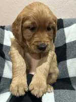 processed/2dce4550-3a05-4e2d-ac98-07b7320d57e8/listing/d0bda63f-e016-47d6-997d-d1fc9706ad04/3a9f9fe2-0328-4434-b19d-9ea9e2c213c5