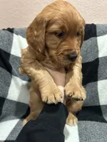 processed/2dce4550-3a05-4e2d-ac98-07b7320d57e8/listing/d0bda63f-e016-47d6-997d-d1fc9706ad04/b5d3d830-ca6d-4d82-85ca-456adbe88616