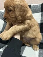 processed/2dce4550-3a05-4e2d-ac98-07b7320d57e8/listing/d0bda63f-e016-47d6-997d-d1fc9706ad04/e4980304-6a6e-4cc9-b68e-2d252d71fbc0