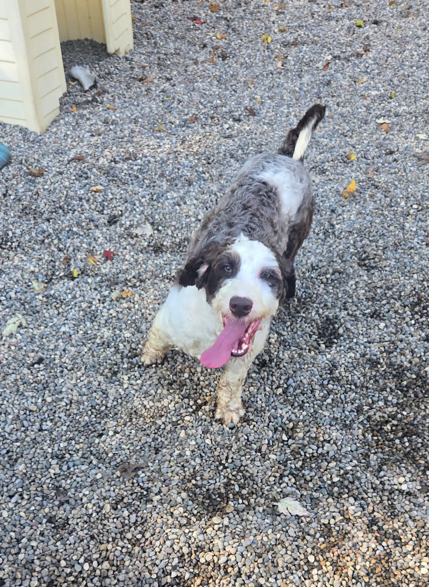 processed/2dce4ae7-928f-4bb6-a7be-305593b3bf18/listing/0740dbe8-eb3b-489b-a002-fcfbbe6edc1c/916013cf-ef57-4b52-8458-9730e85ce15b