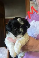 processed/2dce4ae7-928f-4bb6-a7be-305593b3bf18/listing/59626a10-19cd-4e2e-aee5-ea3347d2121e/74633035-2d08-4b33-9607-714284cd4ded