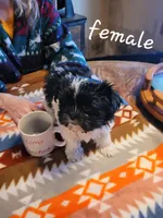 processed/2dce4ae7-928f-4bb6-a7be-305593b3bf18/listing/59626a10-19cd-4e2e-aee5-ea3347d2121e/9eef004b-1f58-4058-a286-d23c9b9a54b6