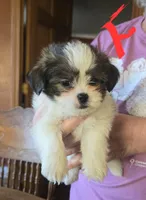 processed/2dce4ae7-928f-4bb6-a7be-305593b3bf18/listing/c0bd0bb4-ae8f-40ec-8251-defb84ebbdf6/e09cd9bc-d9c7-4e9d-a7b6-38cdb0f4b430