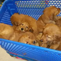 processed/2dd09a87-e201-453e-9355-b93f4575f989/facility/2d28e45c-45f8-4666-a6a6-0d3c58691f0e