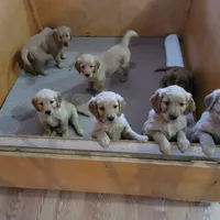 processed/2dd09a87-e201-453e-9355-b93f4575f989/facility/3197d84d-3d8c-4f5e-a6f3-afeeb03d45fa