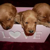 processed/2dd09a87-e201-453e-9355-b93f4575f989/facility/40364929-bdfe-47b1-bb9a-63d1e1c6e0a5