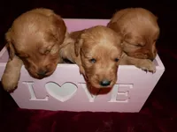 processed/2dd09a87-e201-453e-9355-b93f4575f989/facility/40364929-bdfe-47b1-bb9a-63d1e1c6e0a5