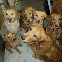 processed/2dd09a87-e201-453e-9355-b93f4575f989/facility/702e1c46-4e47-40fd-bb44-66596257ee8c