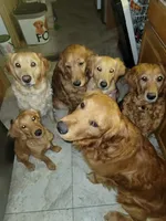 processed/2dd09a87-e201-453e-9355-b93f4575f989/facility/702e1c46-4e47-40fd-bb44-66596257ee8c