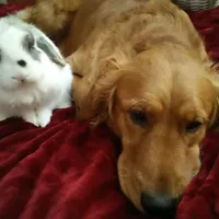 processed/2dd09a87-e201-453e-9355-b93f4575f989/facility/b841fca2-d5c8-47e8-907f-eff6816d02e4