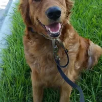 processed/2dd09a87-e201-453e-9355-b93f4575f989/facility/ebf56b05-a91c-49f8-bab3-a05a2cd681fe