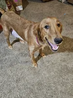 processed/2dd09a87-e201-453e-9355-b93f4575f989/listing/7ec3f153-bcb3-457f-b2fc-a35ee2c6aab3/d52bdb7f-45f3-428c-8362-41a5a8cc2b8a