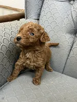 processed/2dd38836-0c5a-4b64-aea1-8cb0f46a508a/listing/1f559752-c781-4bb3-ab52-00ef600deb57/88c40bda-06d2-4b32-a601-7e250ea5c139