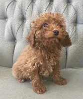 processed/2dd38836-0c5a-4b64-aea1-8cb0f46a508a/listing/1f559752-c781-4bb3-ab52-00ef600deb57/a9d84262-4054-432a-85fa-093768df9887