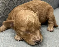 processed/2dd38836-0c5a-4b64-aea1-8cb0f46a508a/listing/1f559752-c781-4bb3-ab52-00ef600deb57/cd8efe66-ccb9-410d-a400-3e6283e8e7b6