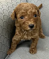 processed/2dd38836-0c5a-4b64-aea1-8cb0f46a508a/listing/1f559752-c781-4bb3-ab52-00ef600deb57/f7bb7da3-8179-496a-bb32-ad5fd6c6a700