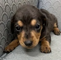 processed/2dd38836-0c5a-4b64-aea1-8cb0f46a508a/listing/d57bfdb5-bdaf-416c-9601-d6a300ee0fab/19f4c83c-df21-4596-8123-cbb17dadecbb