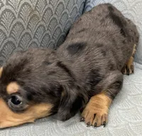 processed/2dd38836-0c5a-4b64-aea1-8cb0f46a508a/listing/d57bfdb5-bdaf-416c-9601-d6a300ee0fab/efefe8b9-a729-4047-a1d1-aacd3b3f919a