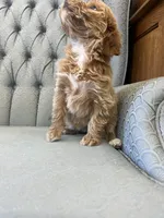 processed/2dd38836-0c5a-4b64-aea1-8cb0f46a508a/listing/e9b849a0-7ffb-4c9f-a744-88da2c62af5a/bc47b78c-2f10-4c51-ab62-589fa6b59056