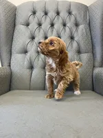 processed/2dd38836-0c5a-4b64-aea1-8cb0f46a508a/listing/e9b849a0-7ffb-4c9f-a744-88da2c62af5a/dee6f96c-fcfd-48db-bb1b-196097ac78ec