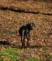 processed/2dd55893-0193-4966-9b86-e150981a06d0/listing/42f6b7f0-6dd6-4bd0-a5ab-28c803d1aff9/26788045-0af6-4a4a-9a45-3e6e37cd47c0