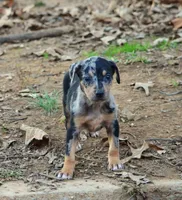 processed/2dd55893-0193-4966-9b86-e150981a06d0/listing/42f6b7f0-6dd6-4bd0-a5ab-28c803d1aff9/906bc0f6-fbd0-466d-afb7-2c27b7dac0d0