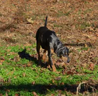 processed/2dd55893-0193-4966-9b86-e150981a06d0/listing/42f6b7f0-6dd6-4bd0-a5ab-28c803d1aff9/9ab9af05-9ecd-4664-a98e-40b1839cc040