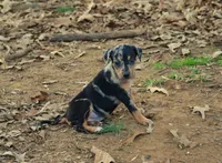 processed/2dd55893-0193-4966-9b86-e150981a06d0/listing/42f6b7f0-6dd6-4bd0-a5ab-28c803d1aff9/bf76c98b-93c0-4620-8c4b-bf51cdcb82ce