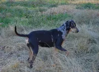 processed/2dd55893-0193-4966-9b86-e150981a06d0/listing/42f6b7f0-6dd6-4bd0-a5ab-28c803d1aff9/ef657a3f-fff3-411b-9298-b5307d4b3bed