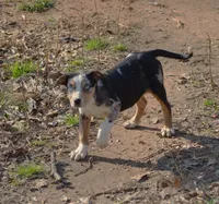 processed/2dd55893-0193-4966-9b86-e150981a06d0/listing/481f4fde-8fe7-4e8e-96df-cd2d7fc8549e/0d2c2437-8213-4e23-b5ef-bced90464ac2