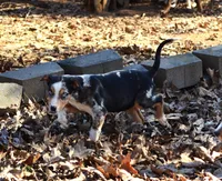 processed/2dd55893-0193-4966-9b86-e150981a06d0/listing/481f4fde-8fe7-4e8e-96df-cd2d7fc8549e/7338dda2-9a65-4160-93f4-c0833f0b41bd