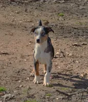 processed/2dd55893-0193-4966-9b86-e150981a06d0/listing/481f4fde-8fe7-4e8e-96df-cd2d7fc8549e/ba4cbf3e-5d89-4231-b23c-9b8d1a5871b2