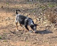 processed/2dd55893-0193-4966-9b86-e150981a06d0/listing/481f4fde-8fe7-4e8e-96df-cd2d7fc8549e/eec97206-00f3-4426-9721-956bb728d610